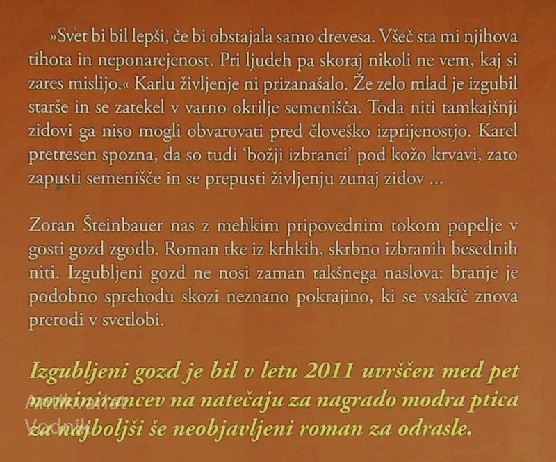 IZGUBLJENI GOZD, Zoran ŠTEINBAUER