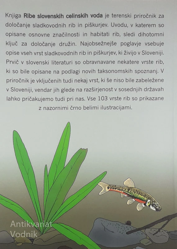 RIBE SLOVENSKIH CELINSKIH VODA, Paul in Jana Kus Veenvliet