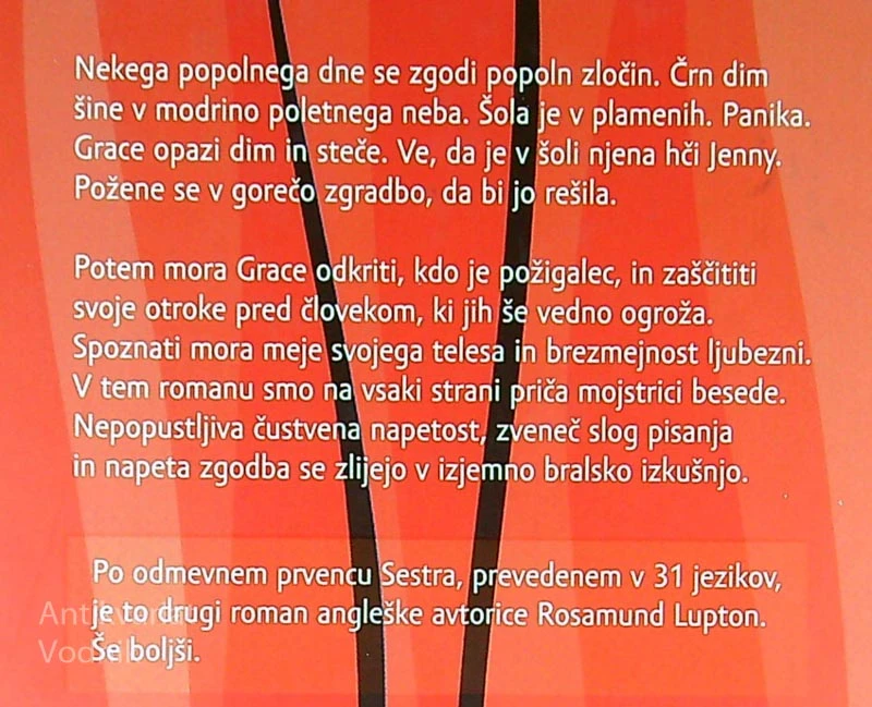 POTEM, Rosamund Lupton