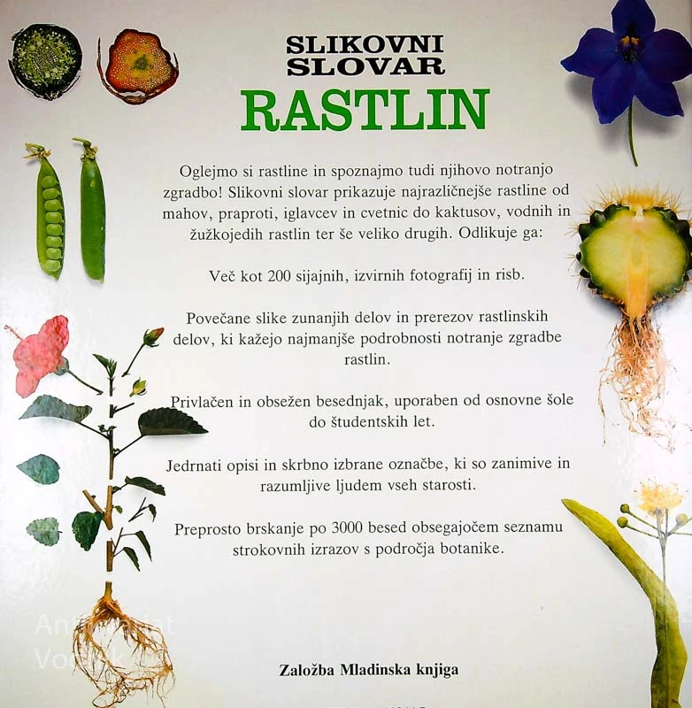 SLIKOVNI SLOVAR RASTLIN, Milan Lovka