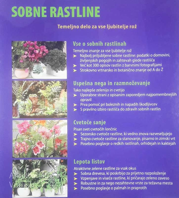 SOBNE RASTLINE, Halina Heitz