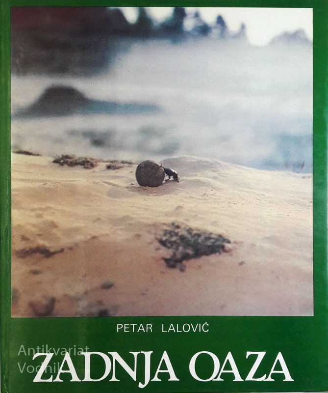 ZADNJA OAZA, Petar Lalović