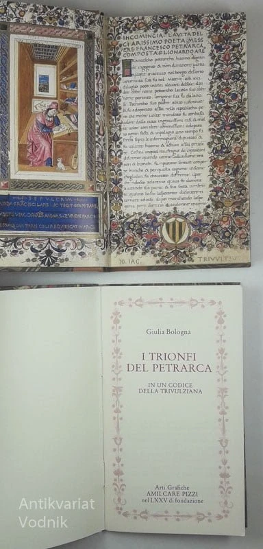 I TRIONFI DEL PETRARCA