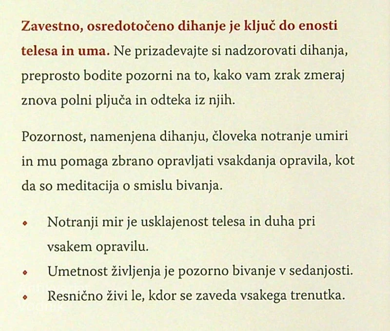 ČUDEŽ POZORNOSTI; UVOD V MEDITACIJSKO PRAKSO, Thich Nhat Hanh