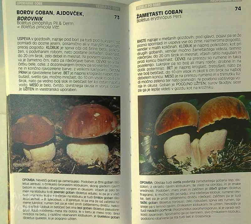 VESELO PO GOBE, Anton Poler