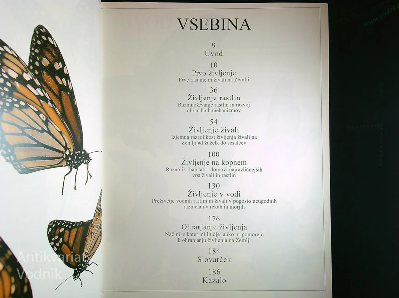 OČIVIDEC: ŽIVA ZEMLJA, Miranda Smith