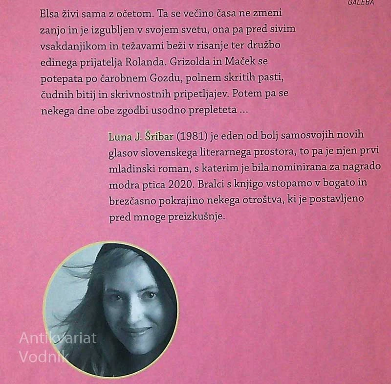 GRIZOLDA IN MAČEK, Luna J. Šribar