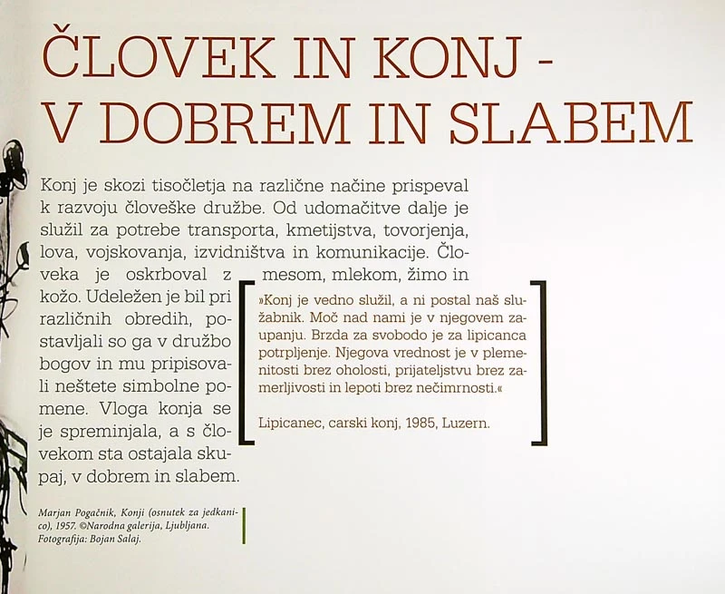 LIPIKUM; MUZEJ LIPICANCA