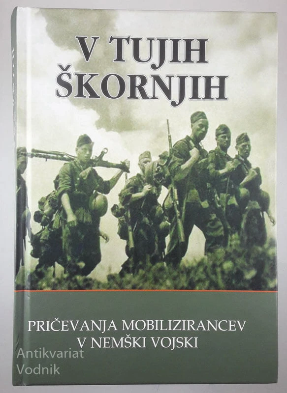 V TUJIH ŠKORNJIH, več avtorjev