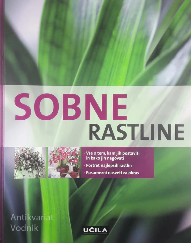 SOBNE RASTLINE