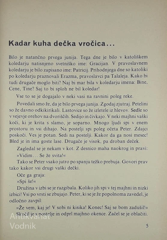 TOVARIŠIJA PETRA GRČE, Mato Lovrak