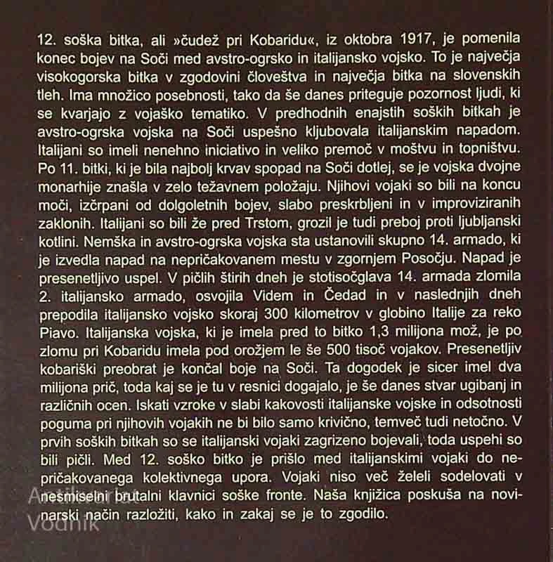 ZLOM PRI KOBARIDU, Miro Simčič