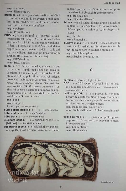 ČEBELARSKI TERMINOLOŠKI SLOVAR, več avtorjev