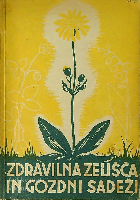 ZDRAVILNA ZELIŠČA IN GOZDNI SADEŽI; PRIROČNIK ZA NABIRANJE, več avtorjev