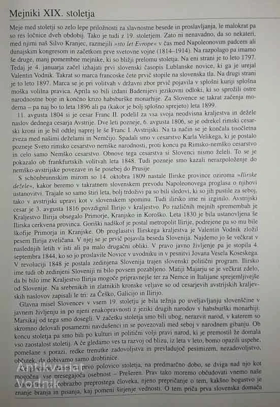 SLOVENSKA KRONIKA XIX. STOLETJA