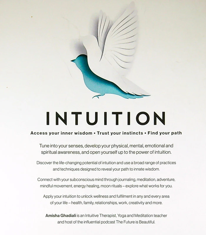 INTUITION, Amisha Ghadiali