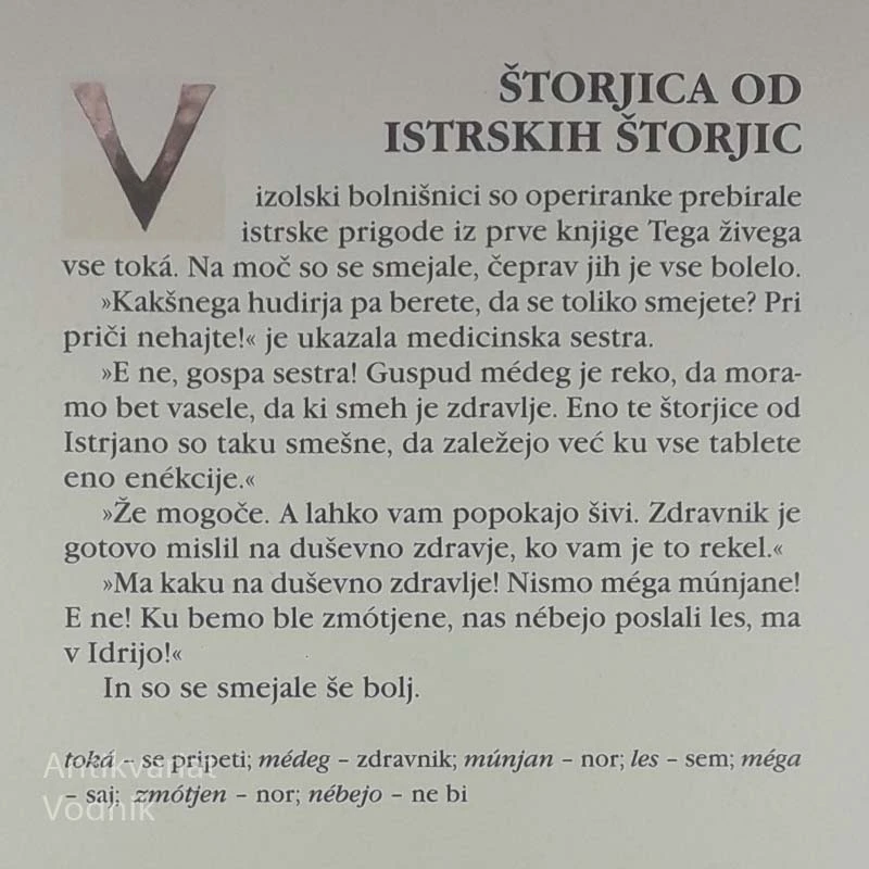ISTRSKE ŠTORJICE, Nelda Štok – Vojska