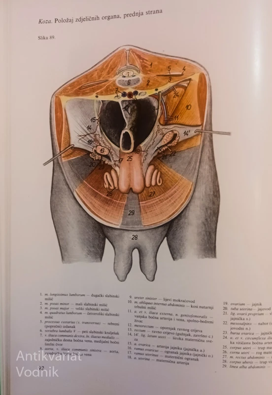 ANATOMSKI ATLAS DOMAĆIH ŽIVOTINJA I – III, Peter Popesko