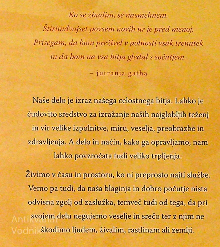 DELO; KAKO NAJTI VESELJE IN POMEM V VSAKEM TRENUTKU, Thich Nhat Hanh