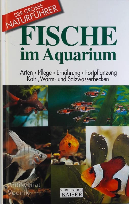 FISCHE IM AQUARIUM, Mauro Mariani