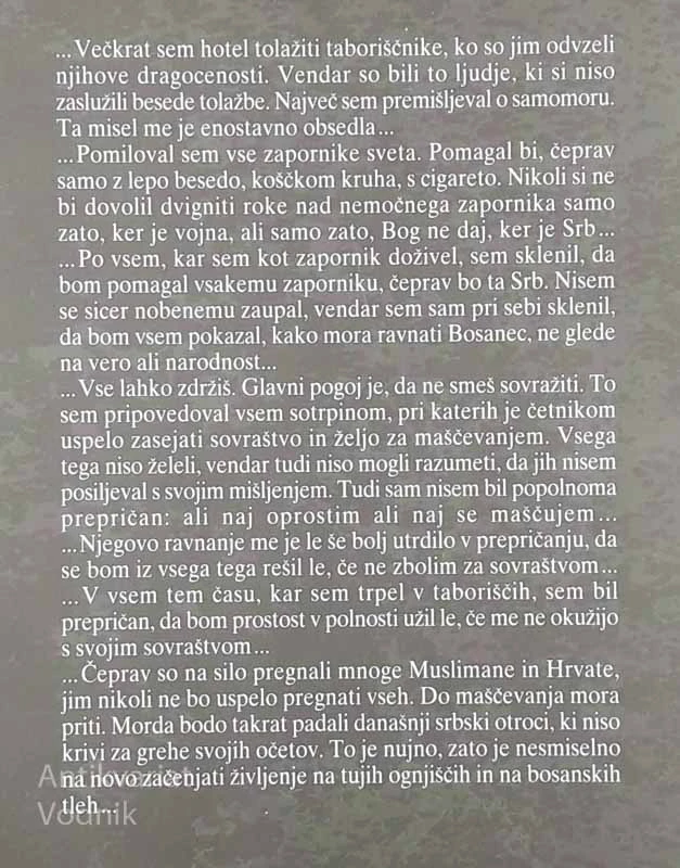 PLAVALEC NA DRUGEM BREGU SAVE, Andrija Tufekčić