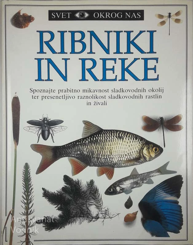 RIBNIKI IN REKE, Steve Parker