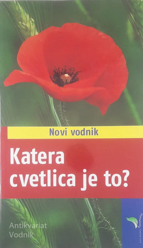 KATERA CVETLICA JE TO?