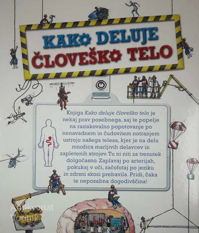 KAKO DELUJE ČLOVEŠKO TELO, Dan Green