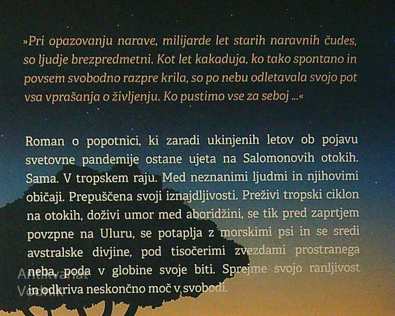 UJETA V SVOBODI, Anja Kovačič