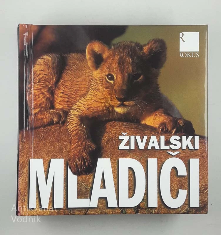 ŽIVALSKI MLADIČI, Angela Serena Ildos