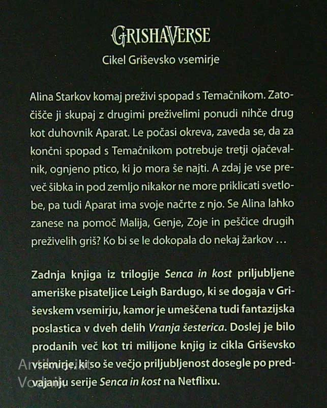 SENCA IN KOST, NAPAD IN VIHAR, UNIČENJE IN VSTAJA, Leigh Bardugo