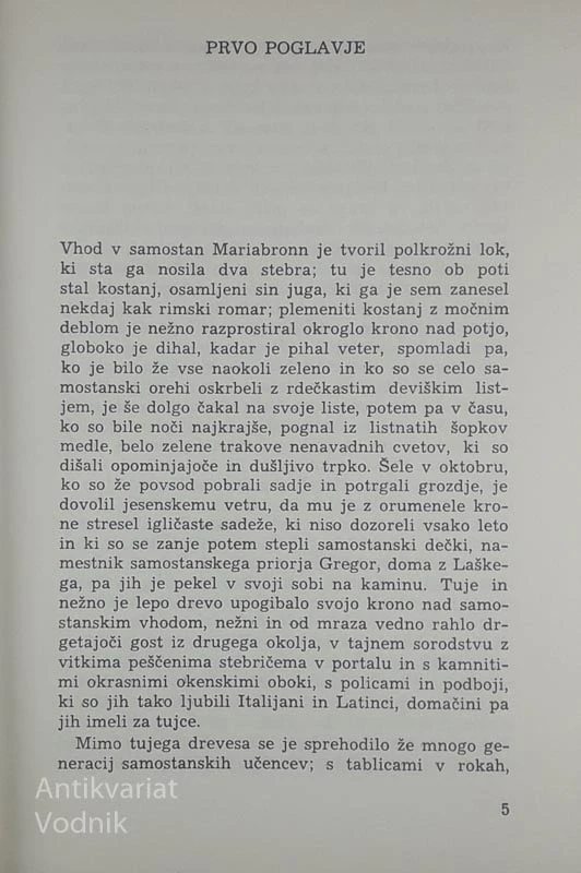 NARCIS IN ZLATOUST, Hermann Hesse