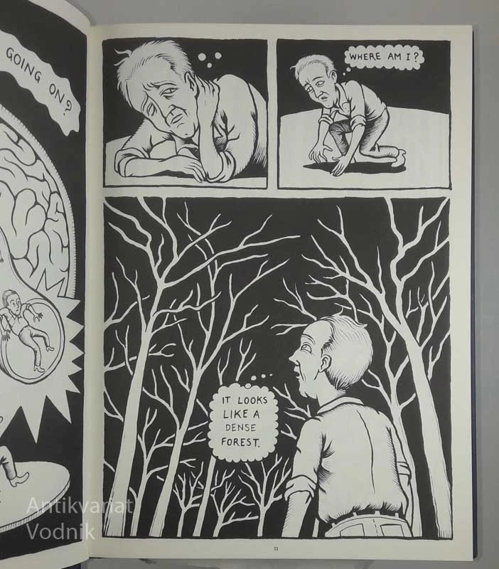 NEUROCOMIC, Dr. Matteo Farinella