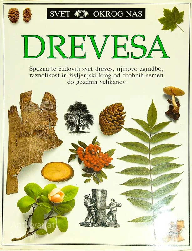 DREVESA, SVET OKROG NAS