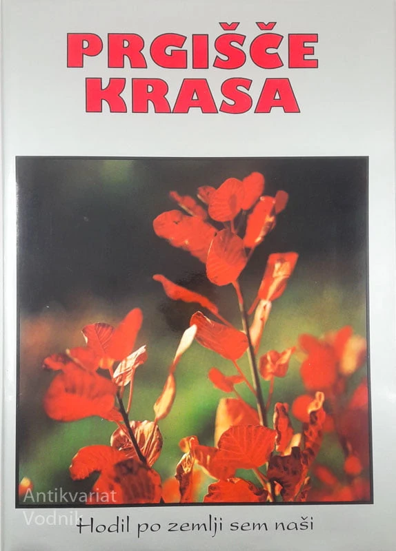 PRGIŠČE KRASA, več avtorjev