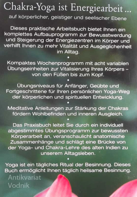 CHAKRA YOGA, Brigit Feliz Carrasco