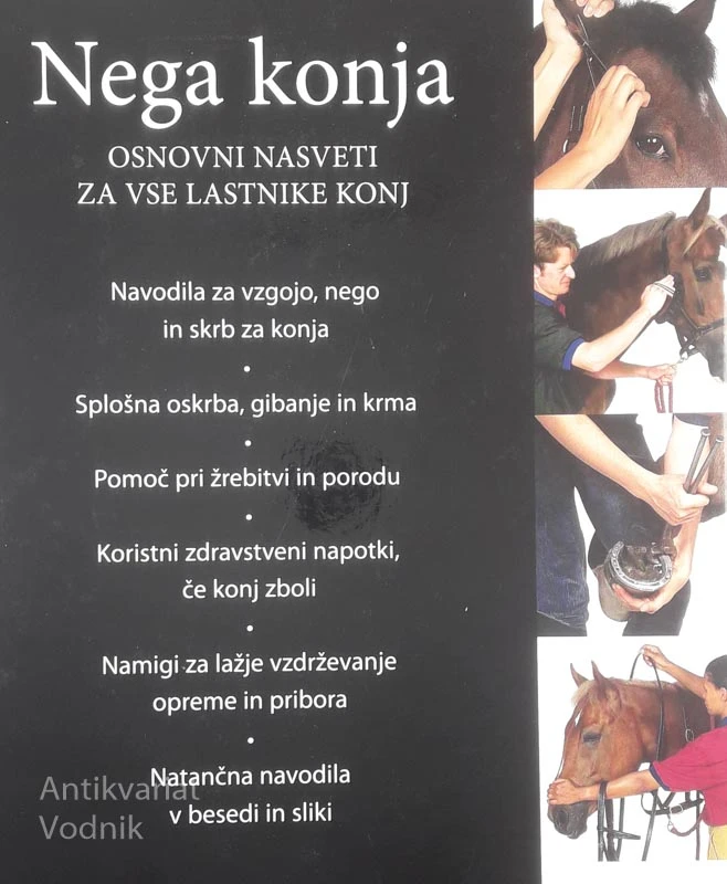 NEGA KONJA, Colin Vogel