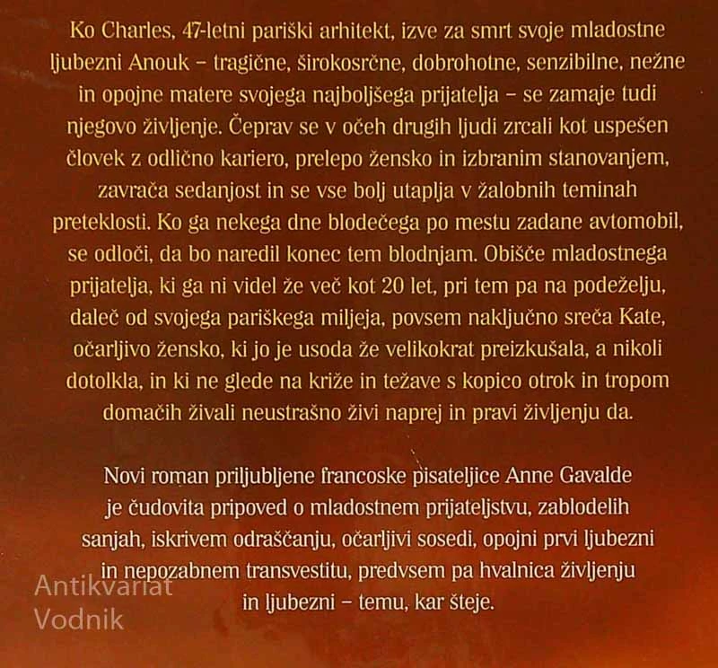 TOLAŽBA, Anna Gavalda