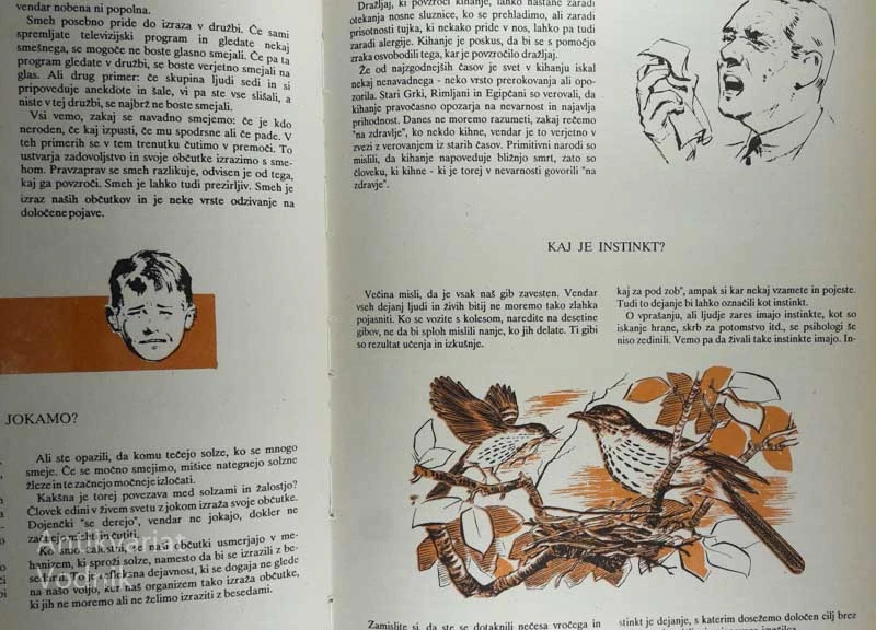 TISOČ ZAKAJ, 1000 ZATO