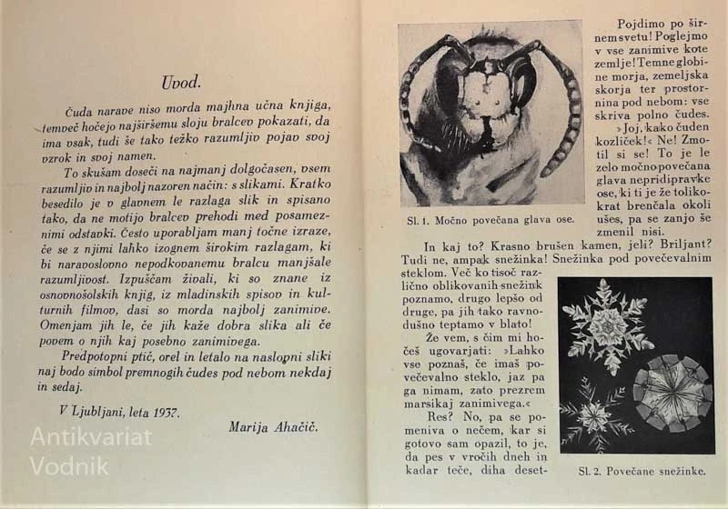 ČUDA NARAVE, besedilo in risbe Marija Ahačič