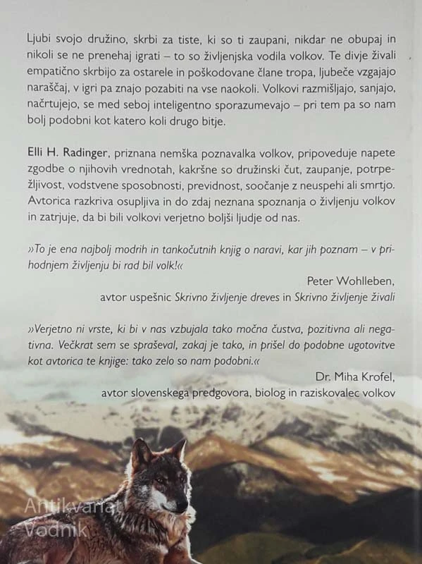 MODROST VOLKOV, Elli H. Radinger
