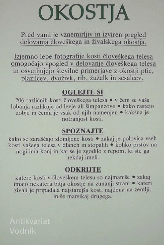 OKOSTJA, Steve Parker