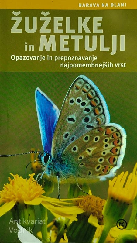ŽUŽELKE IN METULJI, Ingrid von Brandt