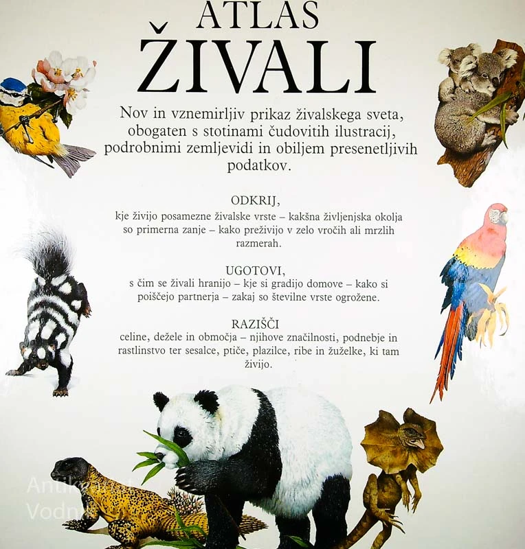 VELIKI SLIKOVNI ATLAS ŽIVALI