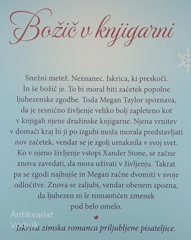 BOŽIČ V KNJIGARNI, Rachel Burton