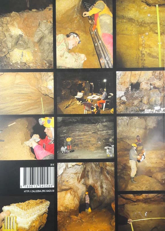 PALAEOMAGNETISM AND MAGNETOSTRTIGRAPHY OF KARST SEDIMENTS IN SLOVENIA