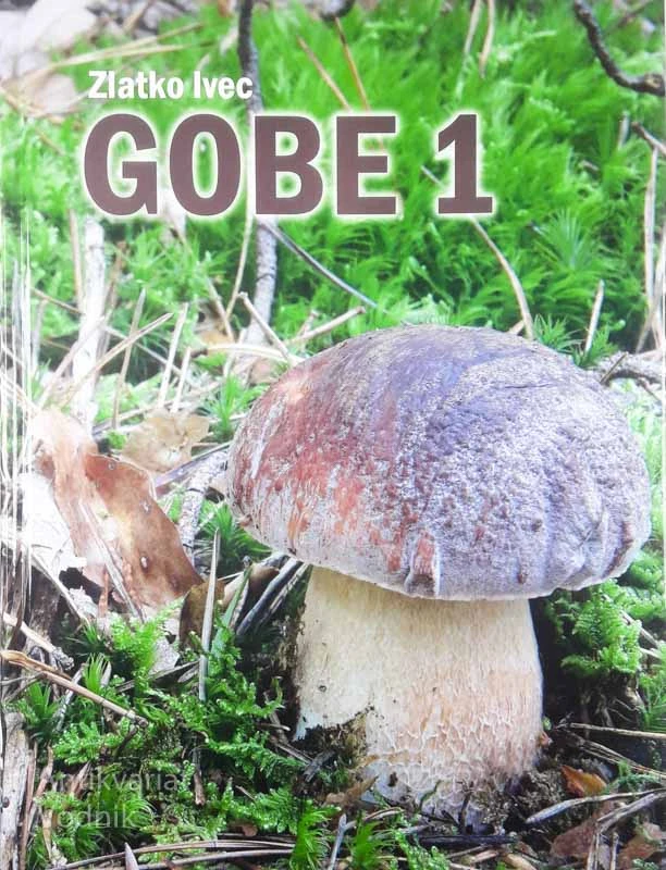 GOBE 1, Zlatko Ivec