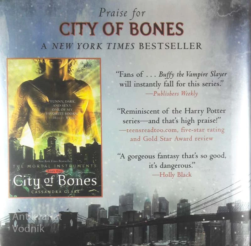 CITY OF ASHES: THE MORTAL INSTRUMENTS (BOOK THREE),  Cassandra Clare