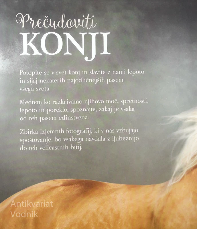 PREČUDOVITI KONJI