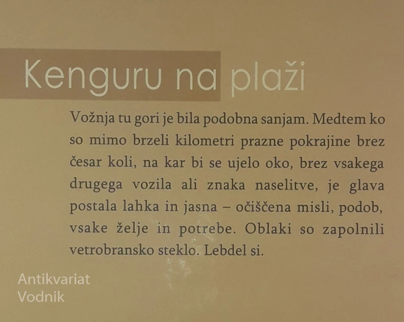 KENGURU NA PLAŽI, Katarina Mahnič